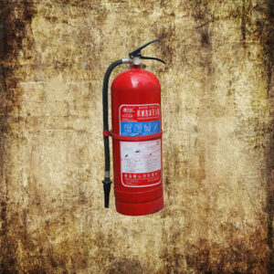 Portable foam fire extinguisher